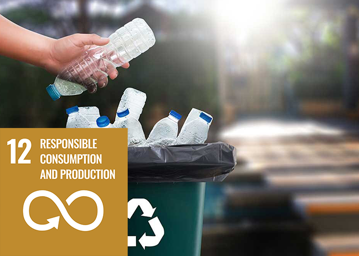 RESPONSIBLE CONSUMPTION