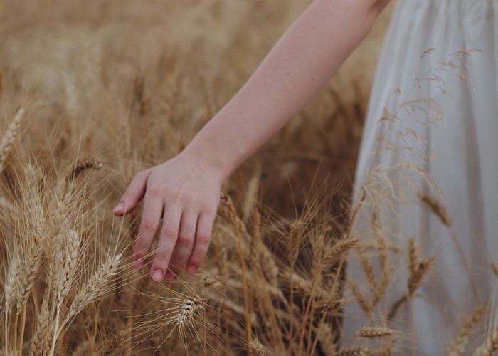 Raspopova Marina A0otlu1df8a Unsplash