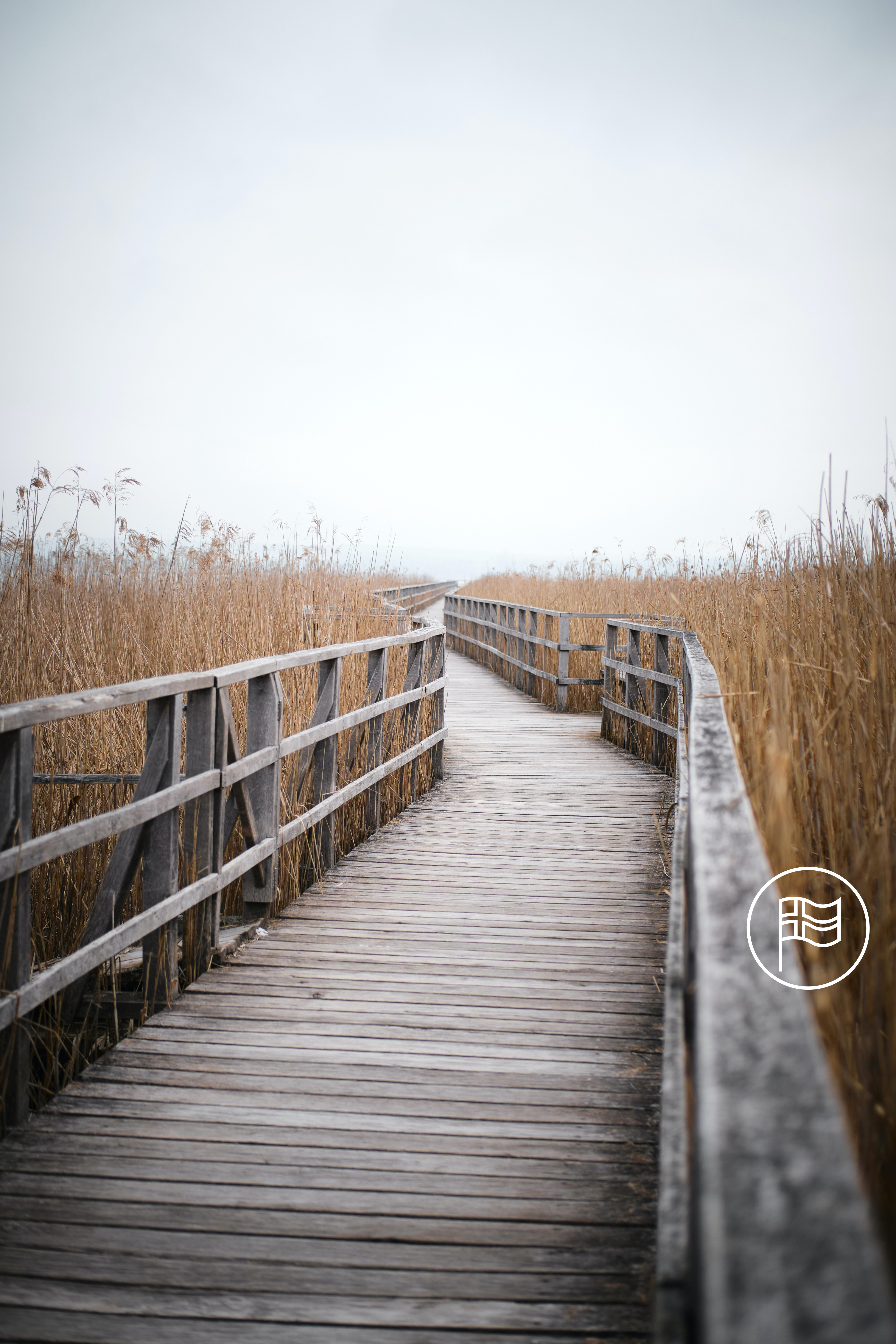 Tim Schmidbauer Zejgshucaee Unsplash (1)